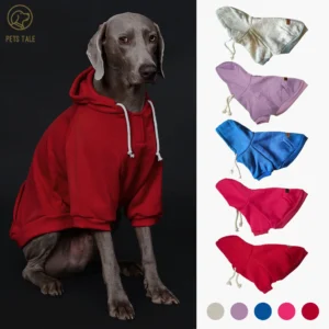 Solid Color Dog Hoodie with Pocket, Leather Patch, Hook and Loop Fastener Collar - Available in 5 Colors 1