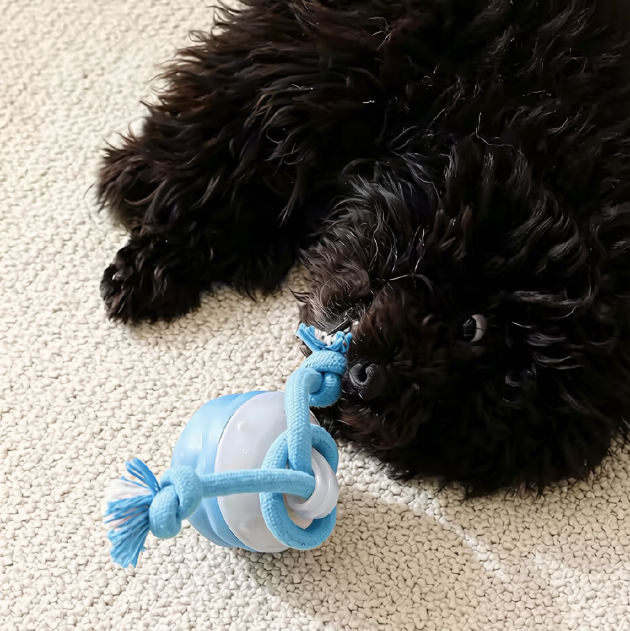 Smart Pet Ball - Image 7