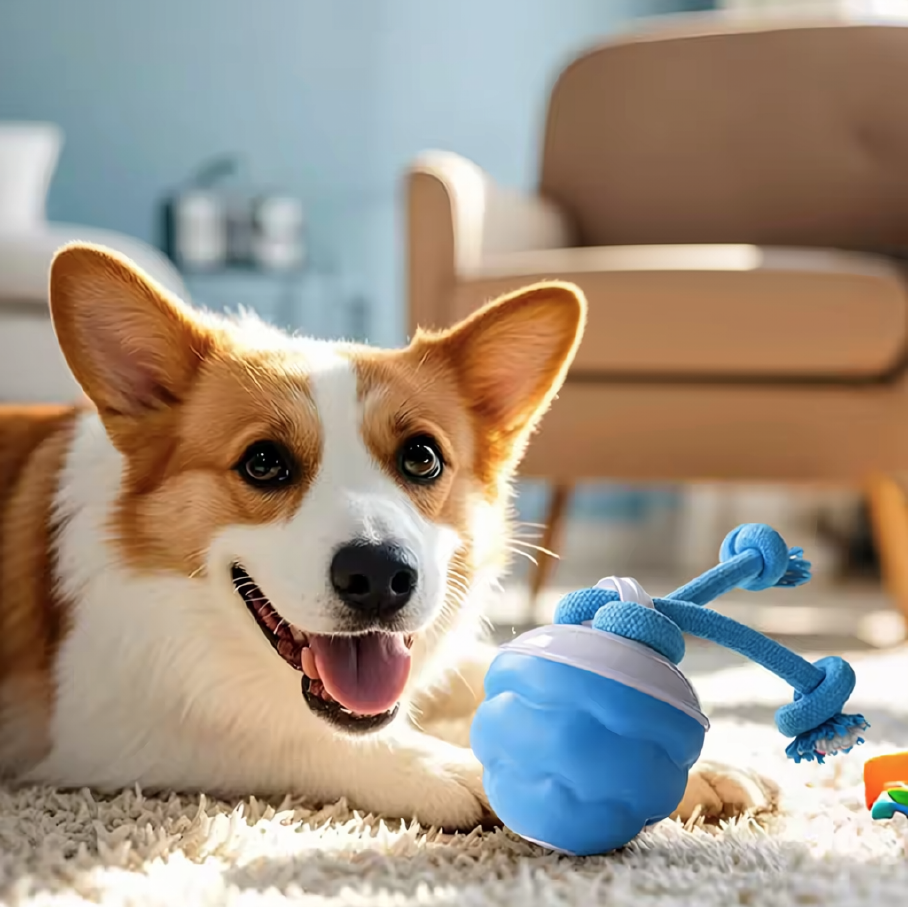 Smart Pet Ball - Image 2