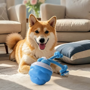 Smart Pet Ball