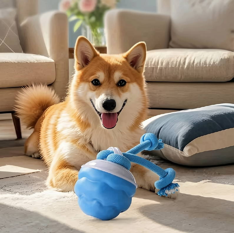 Smart Pet Ball